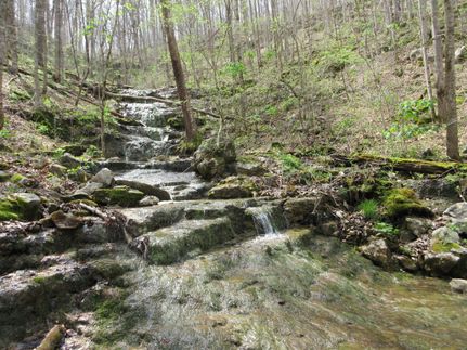 Property in Jackson County, Alabama