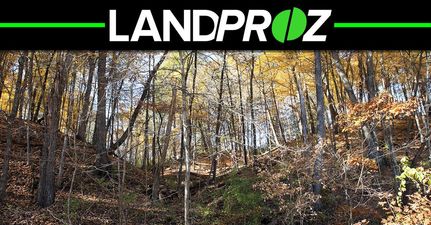 Property in Henry County, Illinois