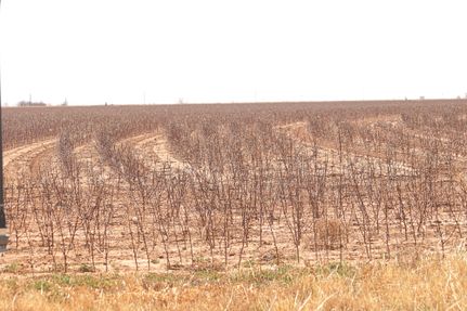 Property in Hale County, Texas