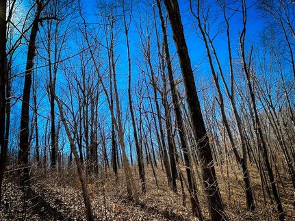 Property in Benton County, Missouri