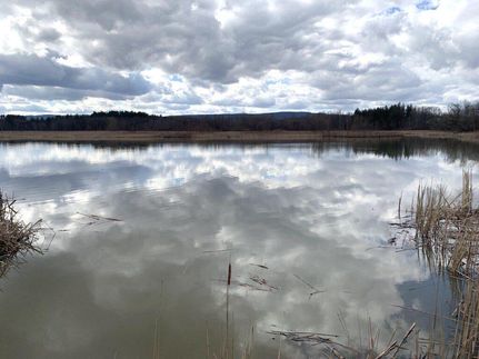 Property in Albany County, New York