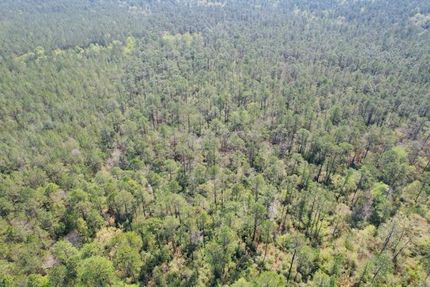 Property in Perry County, Mississippi