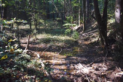 Property in Murray County, Georgia