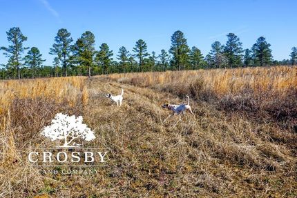 Property in Berkeley County, South Carolina