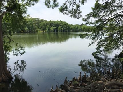 Property in Caldwell Parish, Louisiana