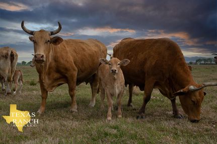 Property in Calhoun County, Texas