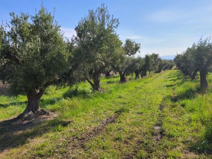 Property in Tehama County, California