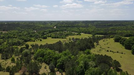 Property in Henry County, Alabama