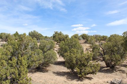 Undeveloped Land for sale in Duchesne County, Utah