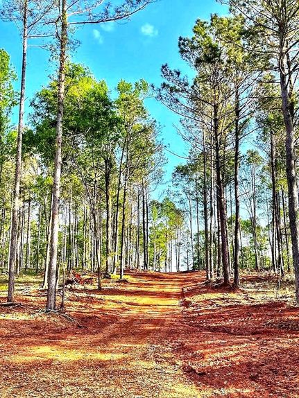 Property in Jackson County, Georgia