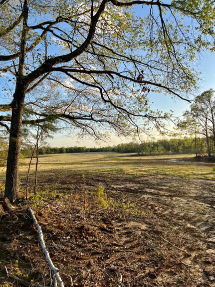 Property in Shelby County, Tennessee