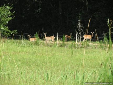 Property in Pike County, Mississippi