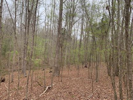 Property in Greenwood County, South Carolina