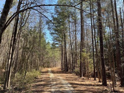 Property in Sussex County, Virginia