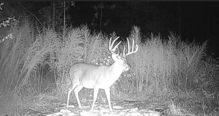 Property in Harris County, Georgia