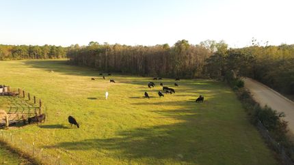 Property in Washington County, Florida