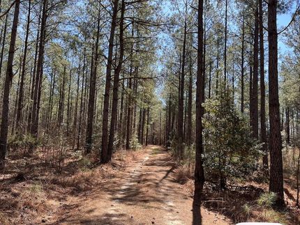 Property in Sussex County, Virginia