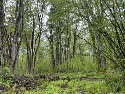 Property in King County, Washington