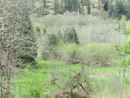 Property in Lewis County, Washington