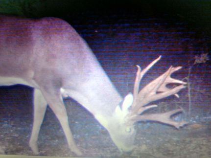 Property in Atoka County, Oklahoma