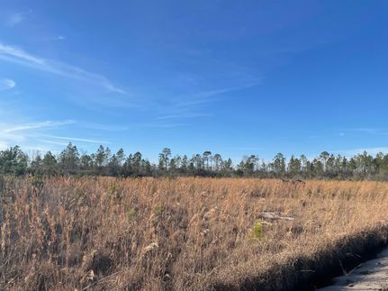 Property in Ware County, Georgia