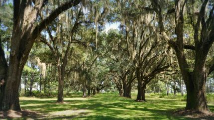 Property in Leon County, Florida