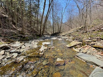 Property in Steuben County, New York