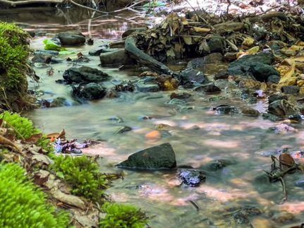 Property in Fannin County, Georgia