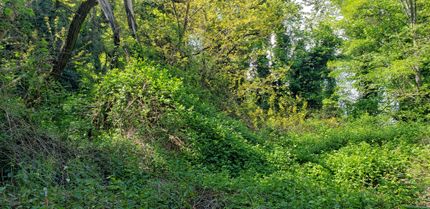 Property in King County, Washington