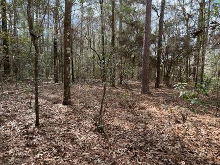 Property in Covington County, Alabama