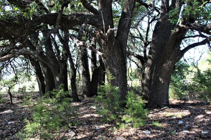 Property in Mills County, Texas