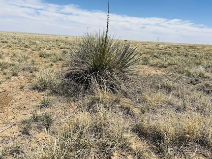 Property in Crowley County, Colorado