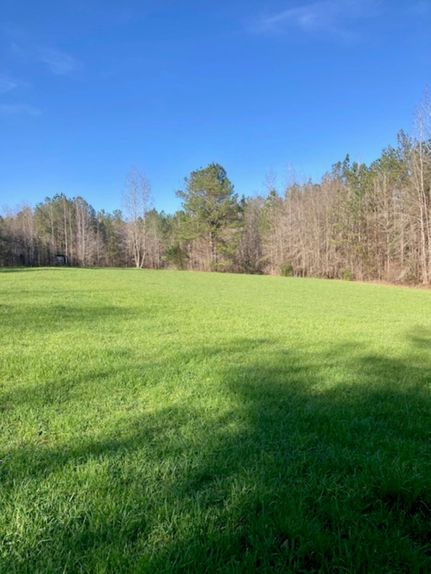Property in Butler County, Alabama