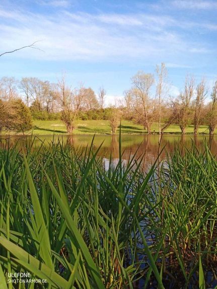 Property in Warren County, Indiana