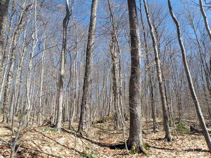 Property in Washington County, Vermont