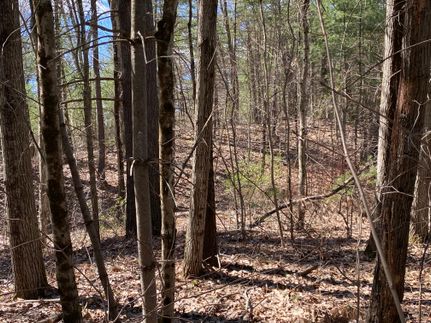 Property in Hampshire County, Massachusetts