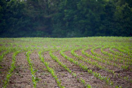 Property in Hardeman County, Tennessee