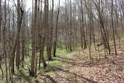Property in Powell County, Kentucky