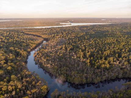 Property in Baldwin County, Alabama