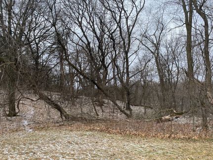 Property in Anoka County, Minnesota