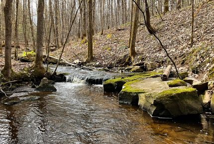 Property in Oneida County, New York