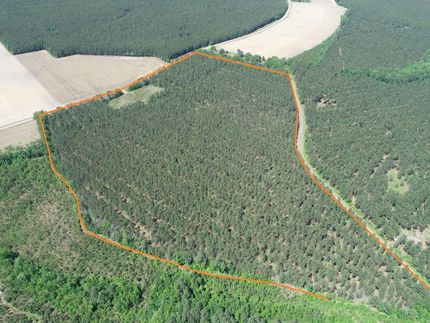 Property in Isle of Wight County, Virginia