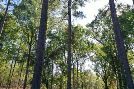 Property in Brown County, Nebraska