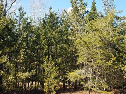 Property in Oneida County, Wisconsin