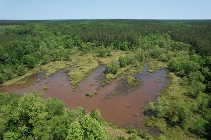 Property in Macon County, Alabama