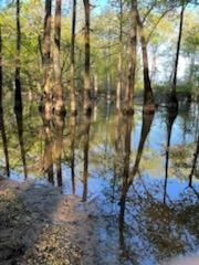 Property in Bradley County, Arkansas