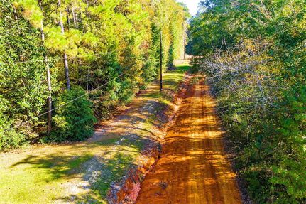 Property in Polk County, Texas