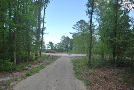 Property in Jones County, North Carolina