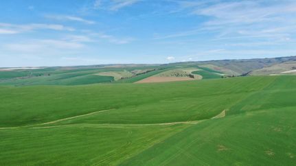 Property in Walla Walla County, Washington