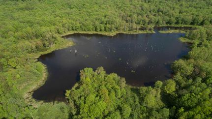 Property in Oneida County, New York